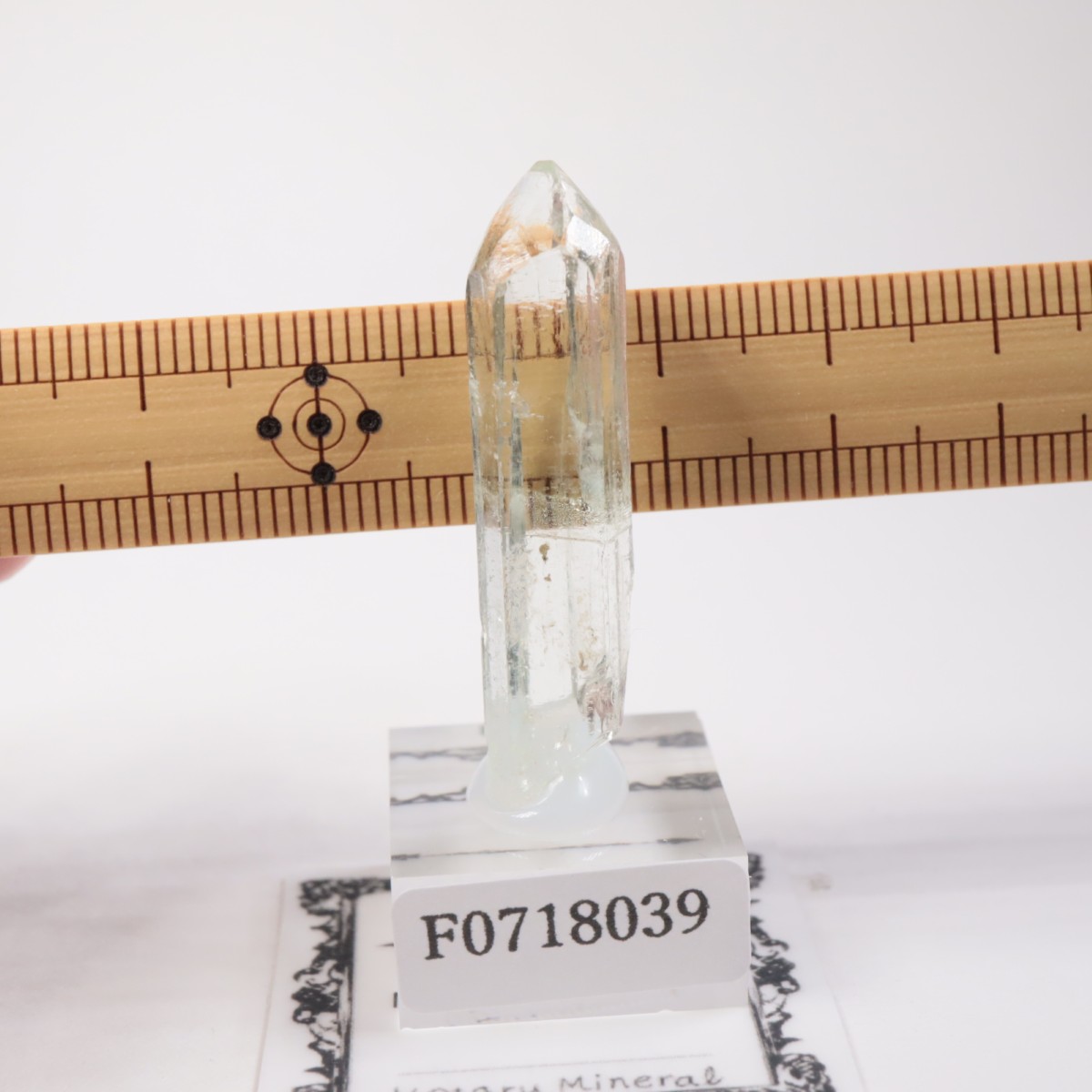 �֥饸�뻺���٥��