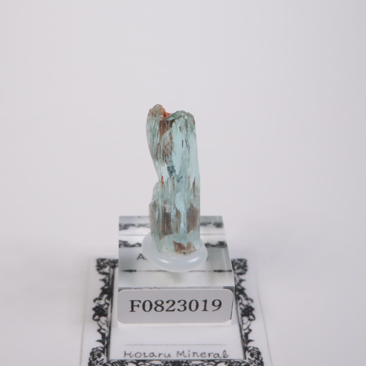 �֥饸�뻺 �������ޥ��