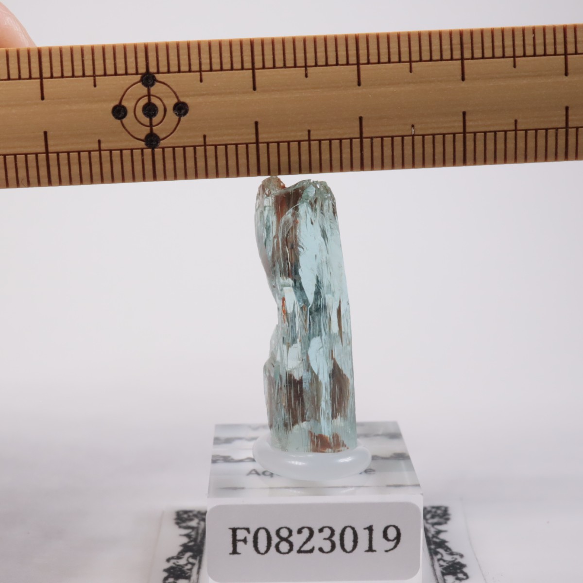 �֥饸�뻺 �������ޥ��