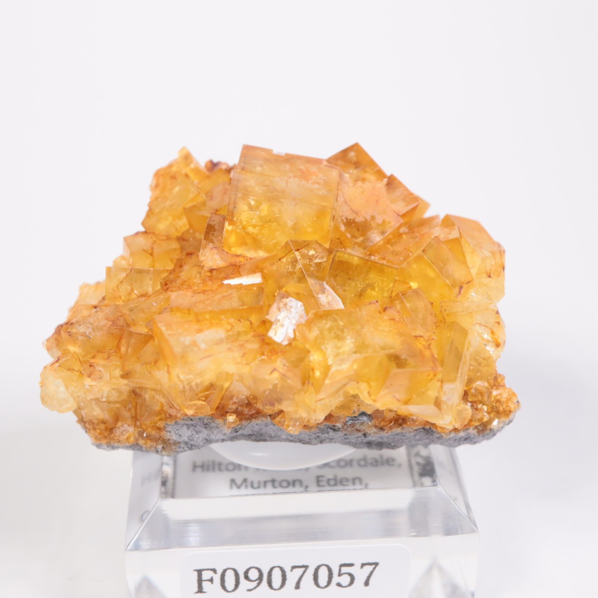 �ҥ�ȥ�ۻ� �ե����饤��