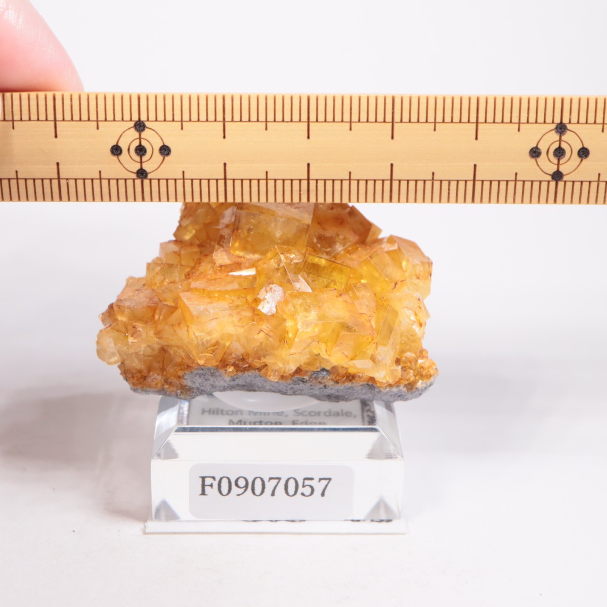 �ҥ�ȥ�ۻ� �ե����饤��