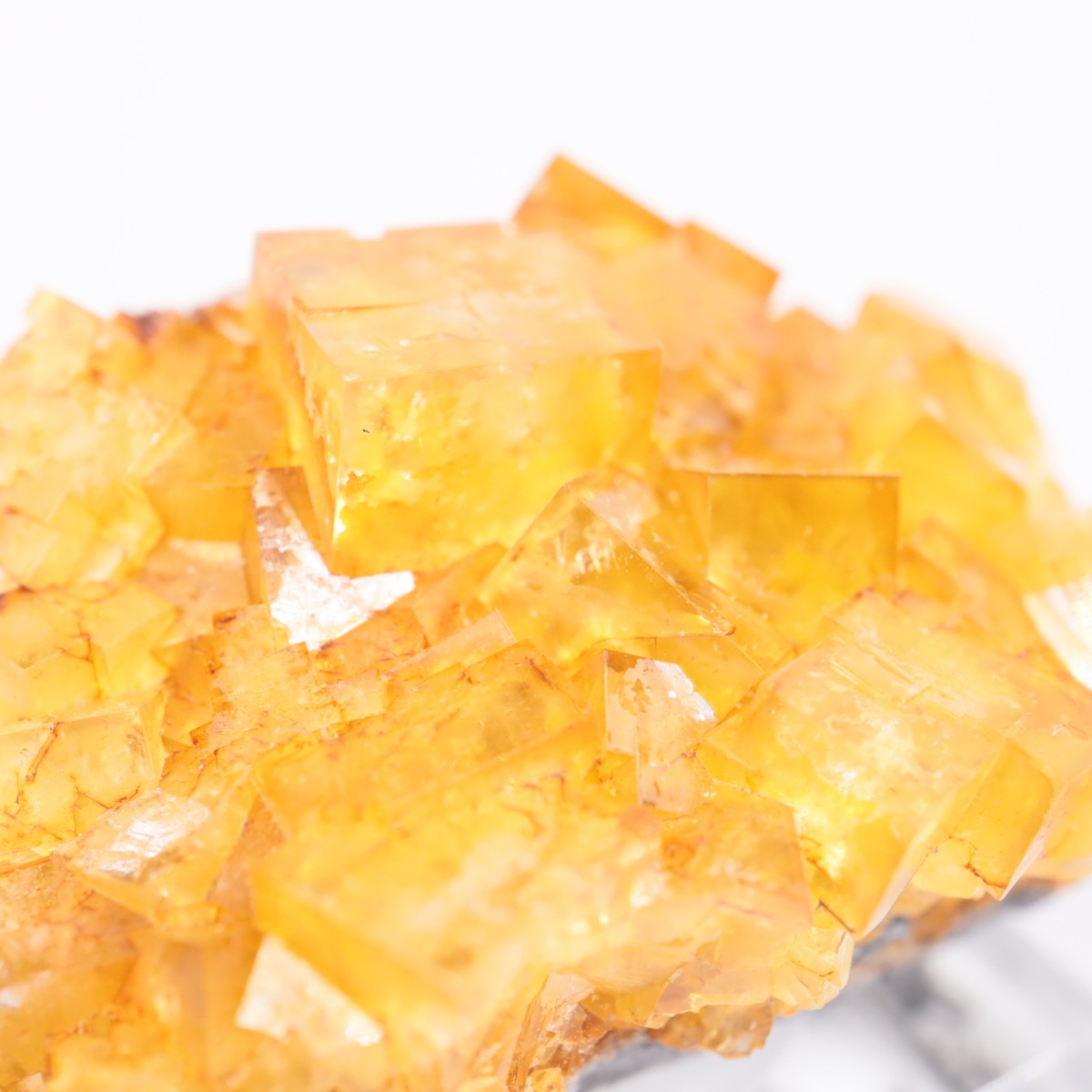 �ҥ�ȥ�ۻ� �ե����饤��