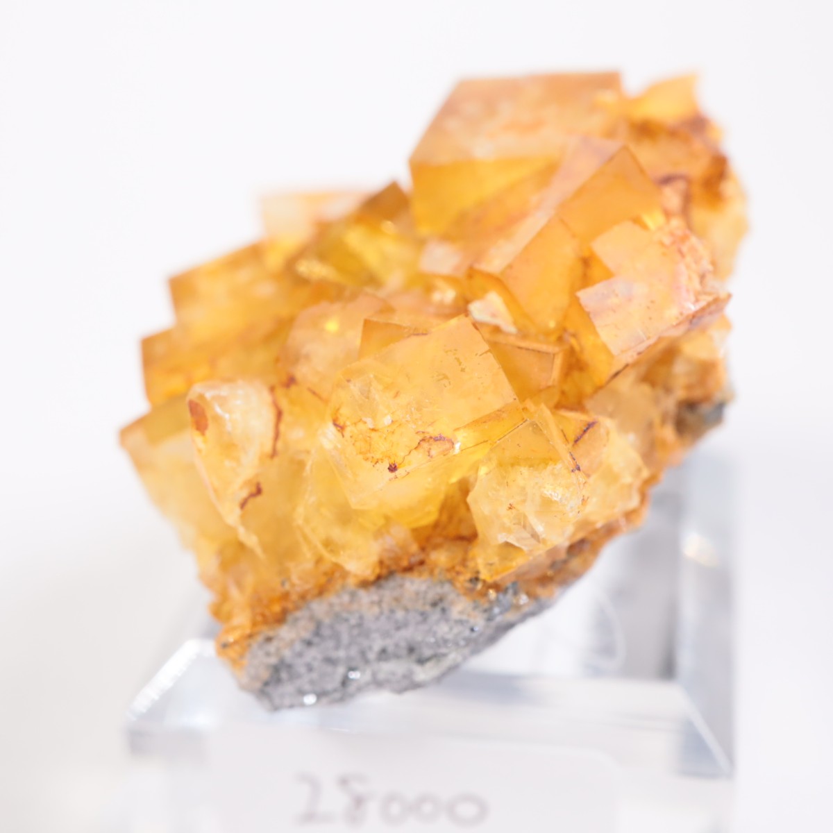 �ҥ�ȥ�ۻ� �ե����饤��