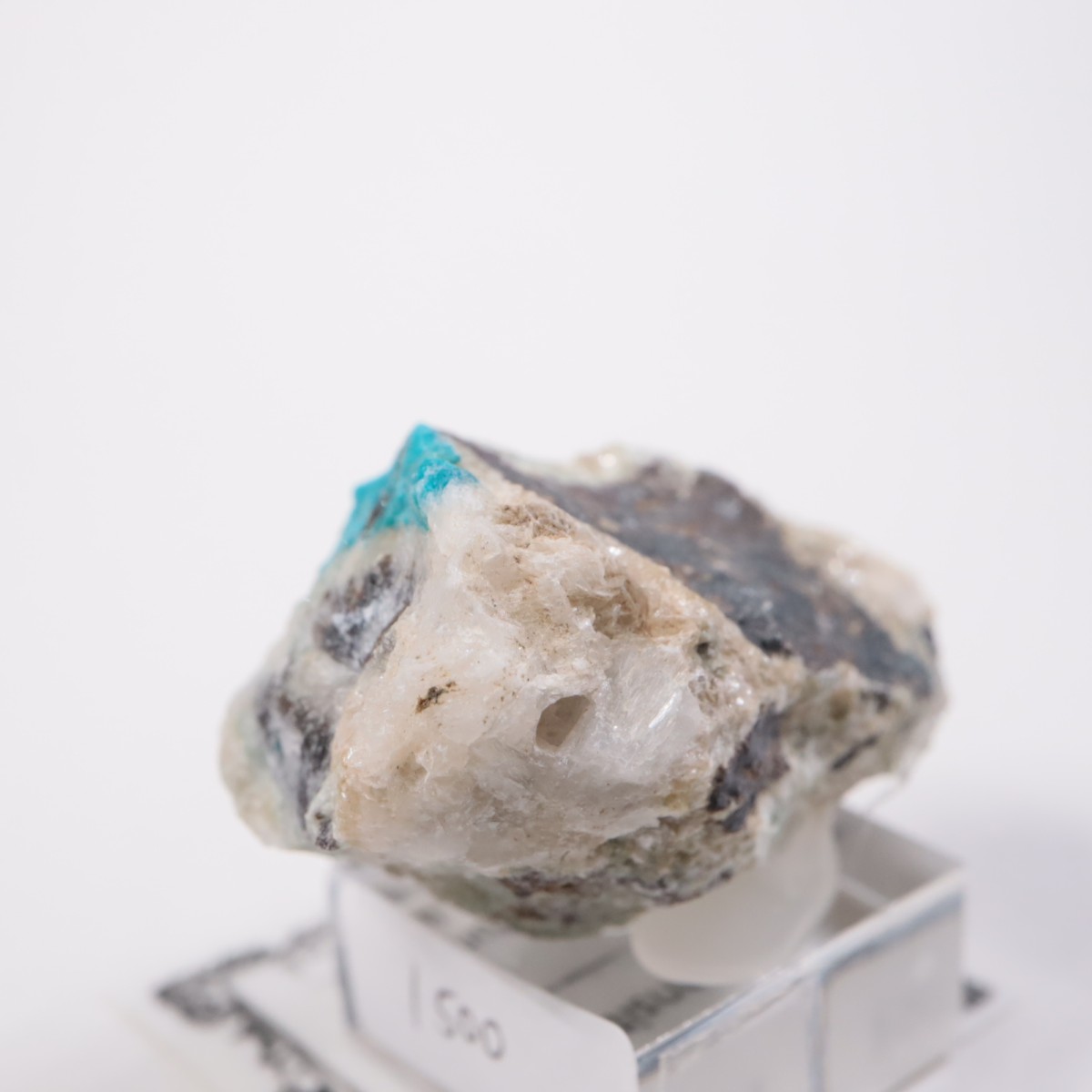 ����ɻ� ���Х󥵥���