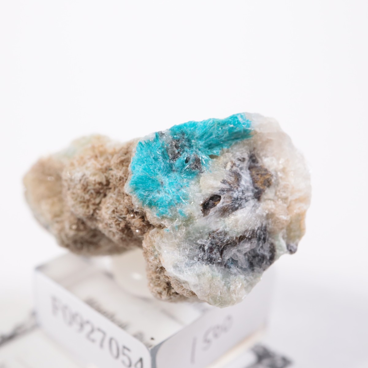 ����ɻ� ���Х󥵥���