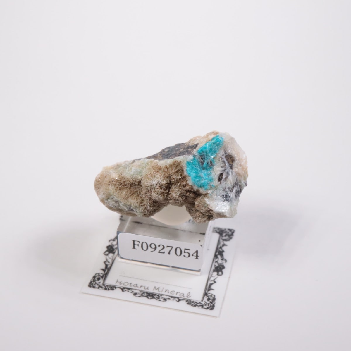 ����ɻ� ���Х󥵥���