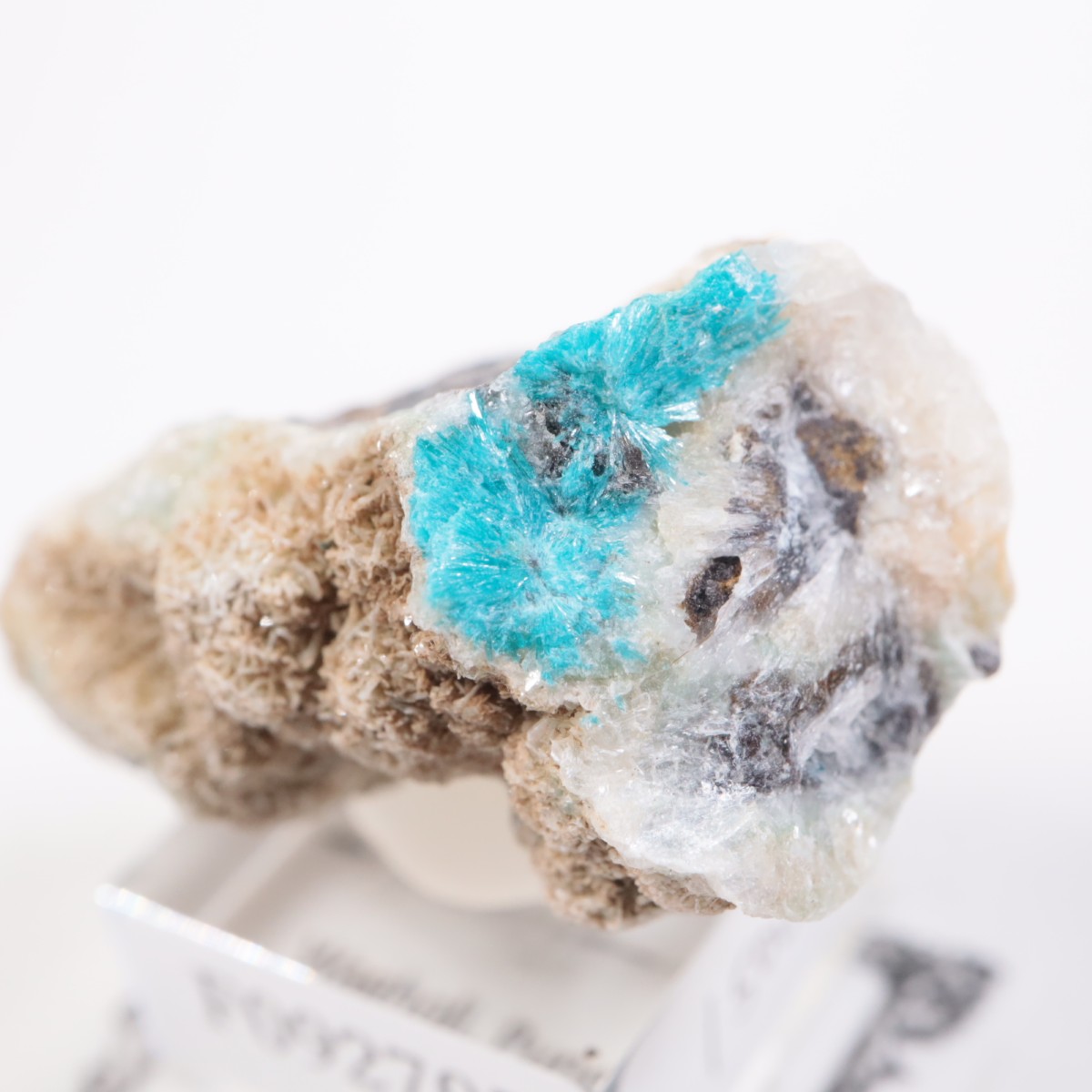 ����ɻ� ���Х󥵥���