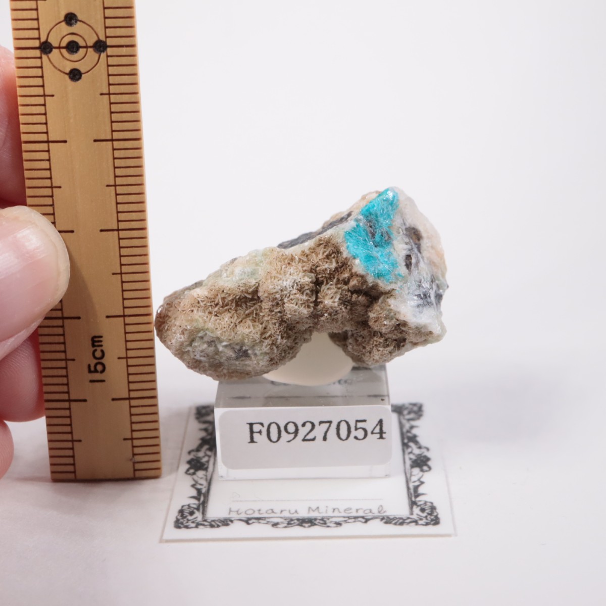 ����ɻ� ���Х󥵥���