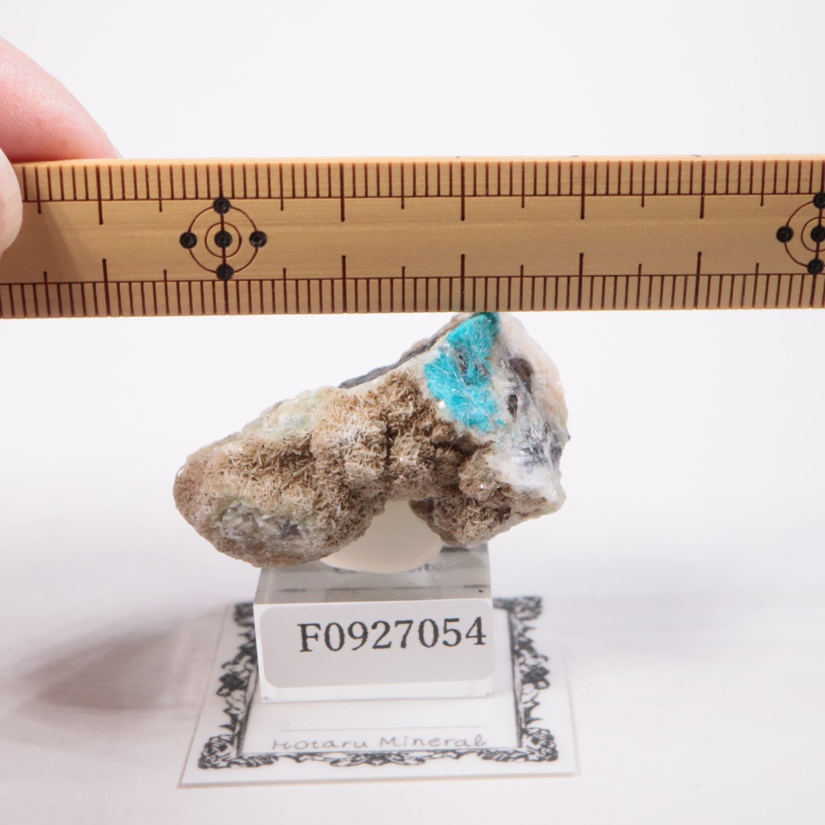 ����ɻ� ���Х󥵥���