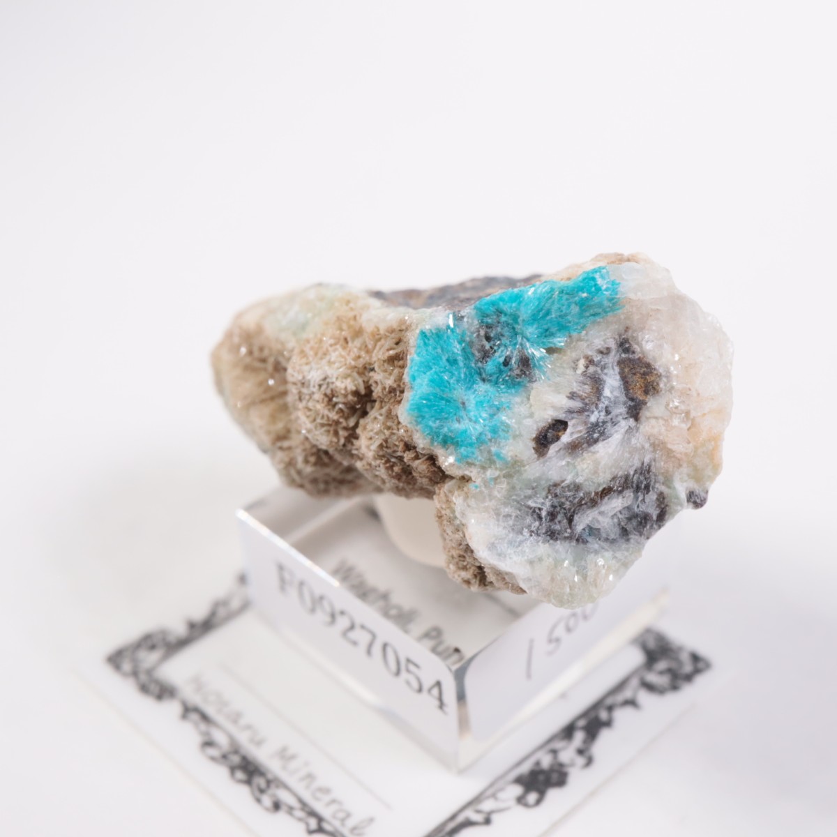 ����ɻ� ���Х󥵥���