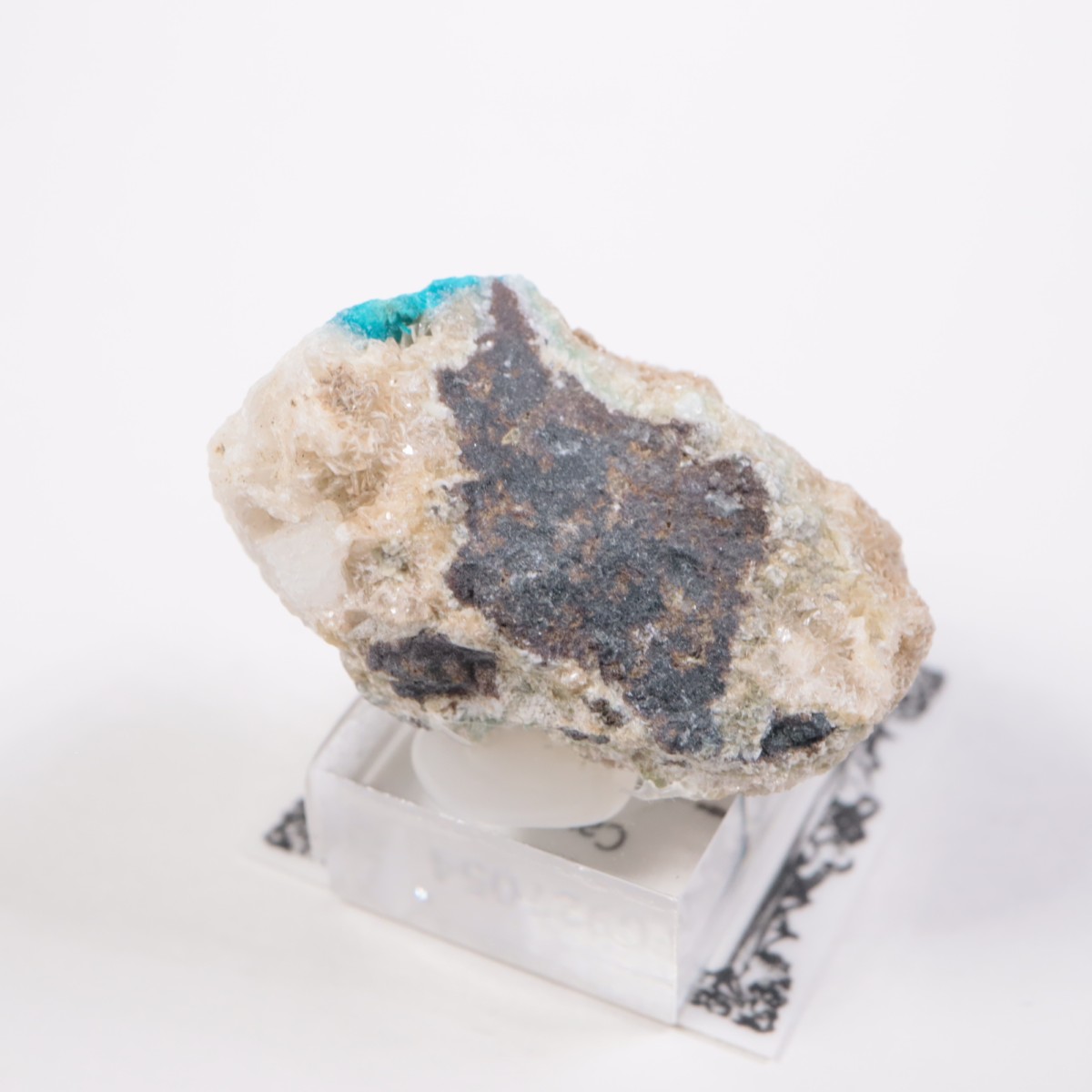 ����ɻ� ���Х󥵥���