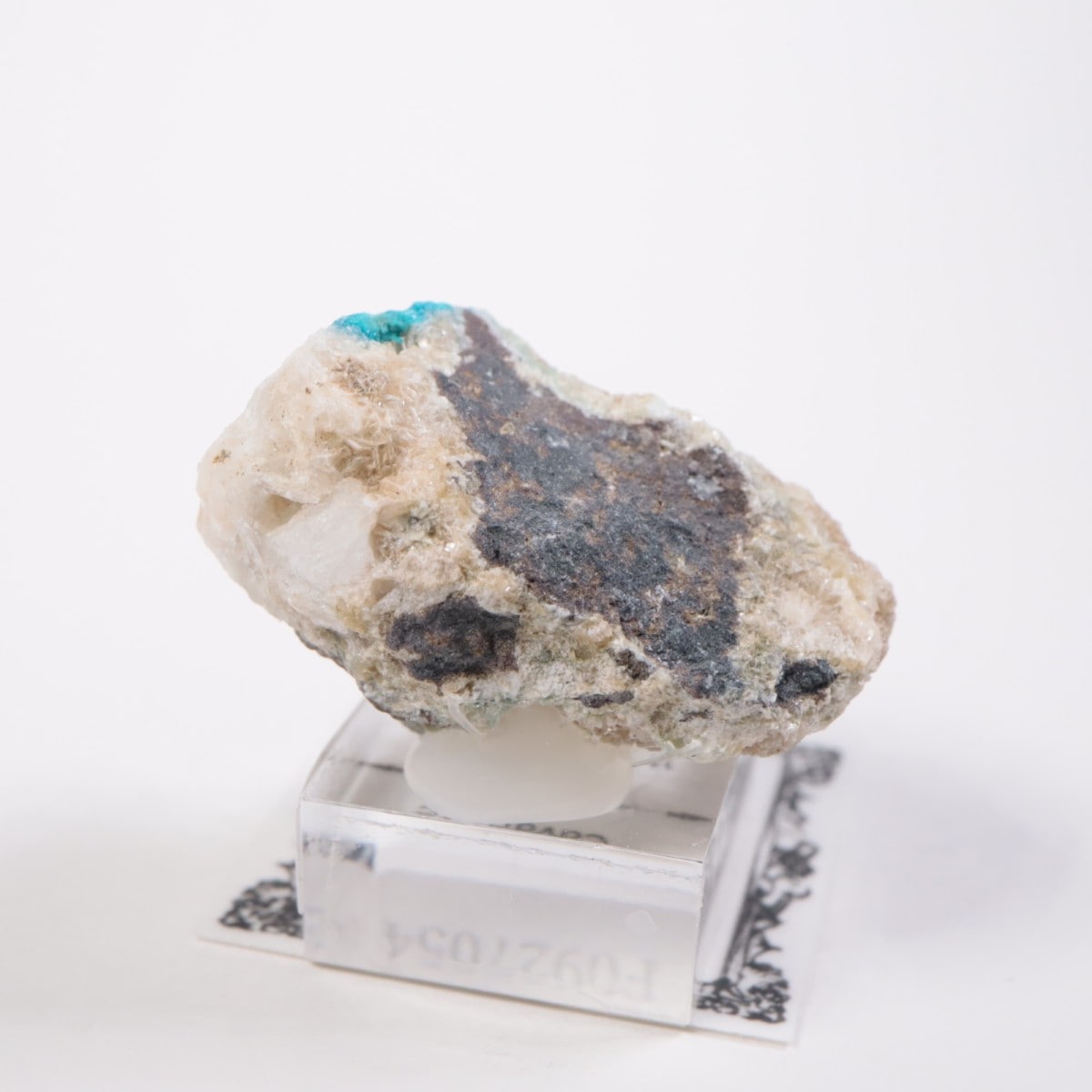 ����ɻ� ���Х󥵥���