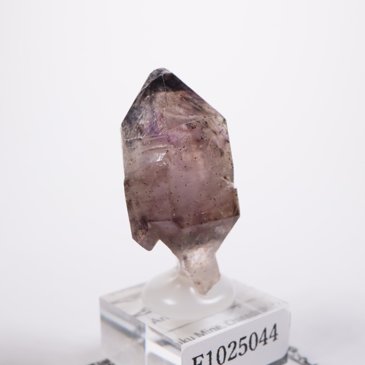 Chibuku�ۻ��� ���᥷����