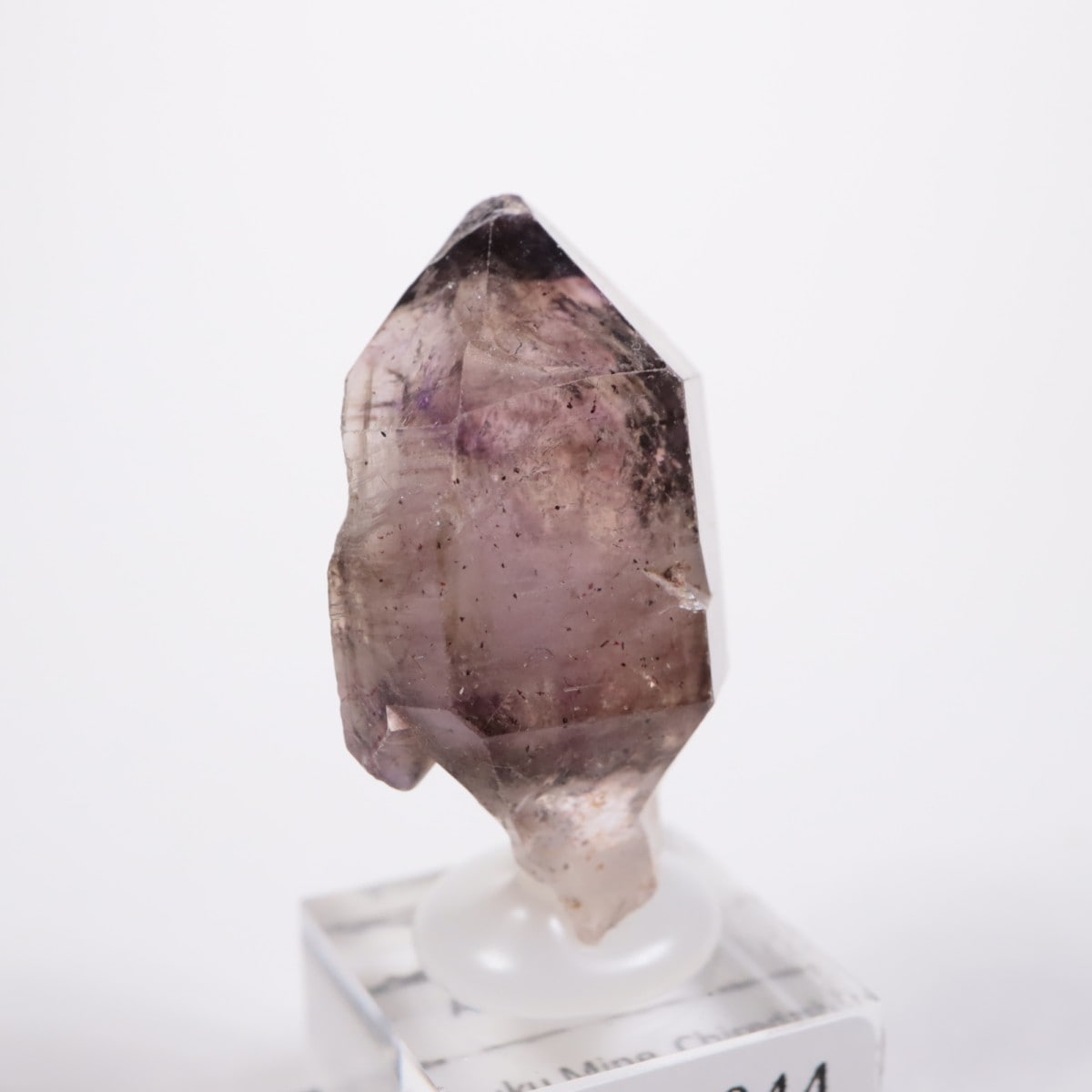 Chibuku�ۻ��� ���᥷����