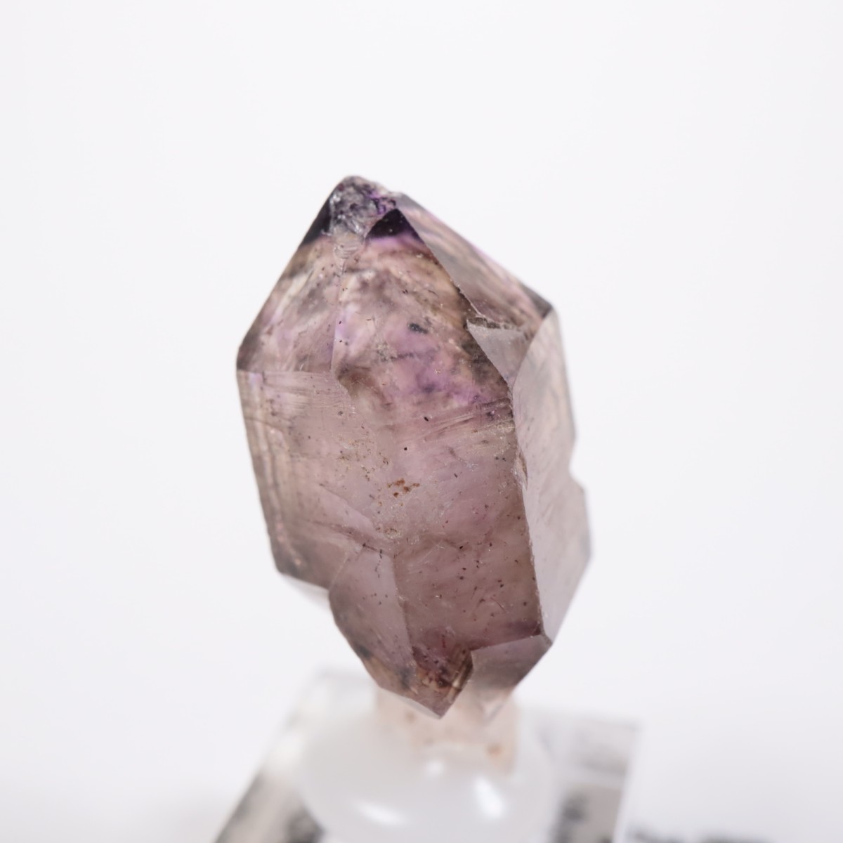 Chibuku�ۻ��� ���᥷����