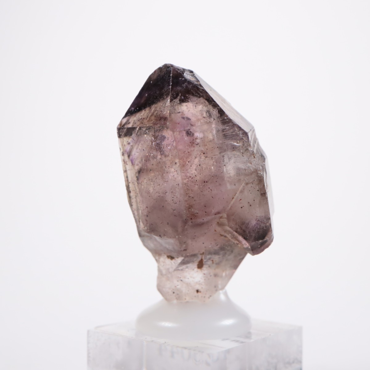 Chibuku�ۻ��� ���᥷����