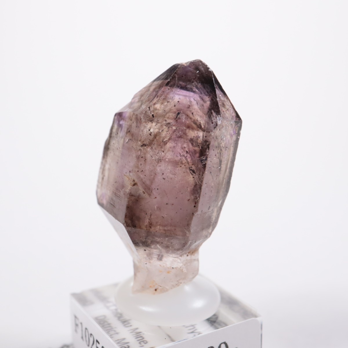 Chibuku�ۻ��� ���᥷����