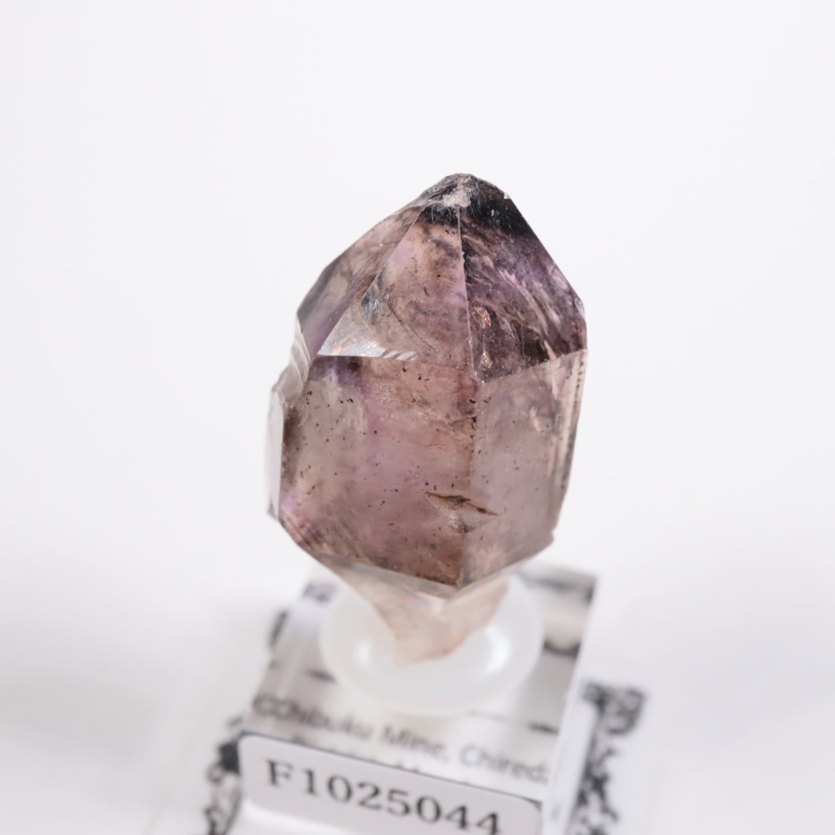 Chibuku�ۻ��� ���᥷����