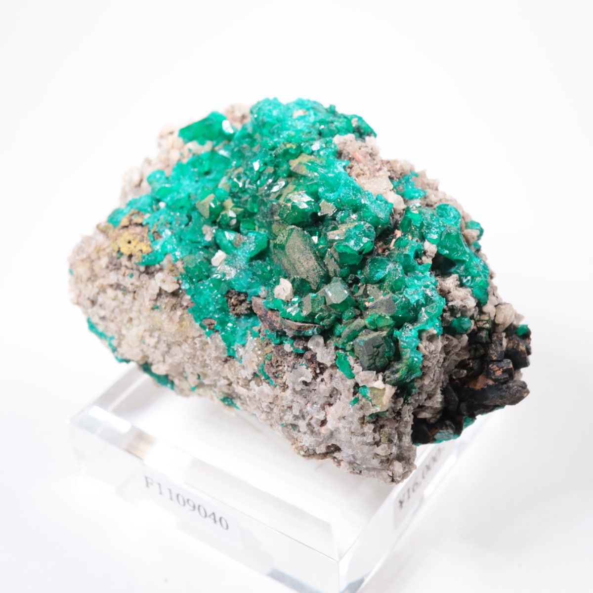 ���󥴻� �������ץơ���