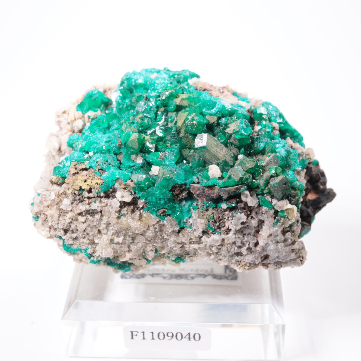 ���󥴻� �������ץơ���