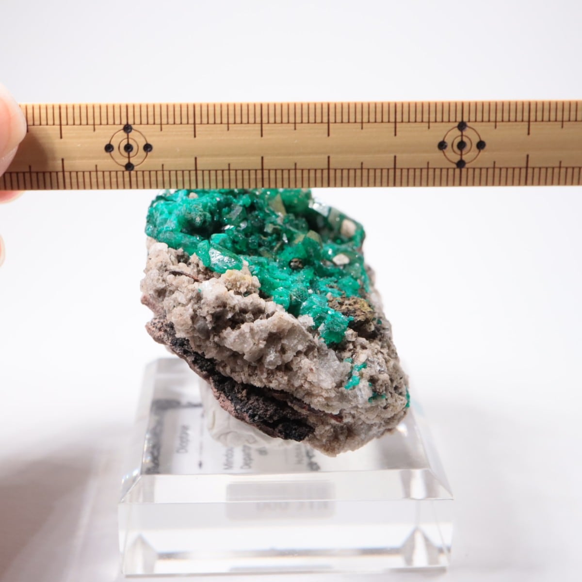 ���󥴻� �������ץơ���