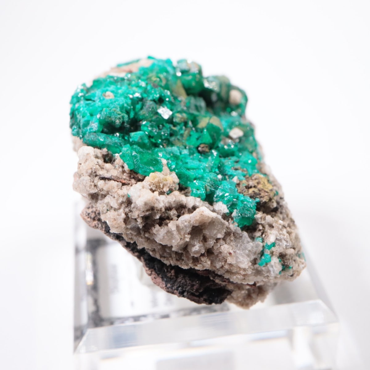 ���󥴻� �������ץơ���