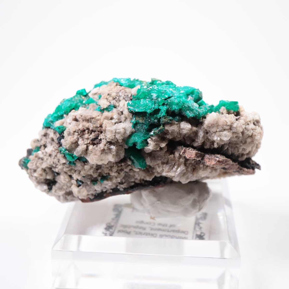 ���󥴻� �������ץơ���