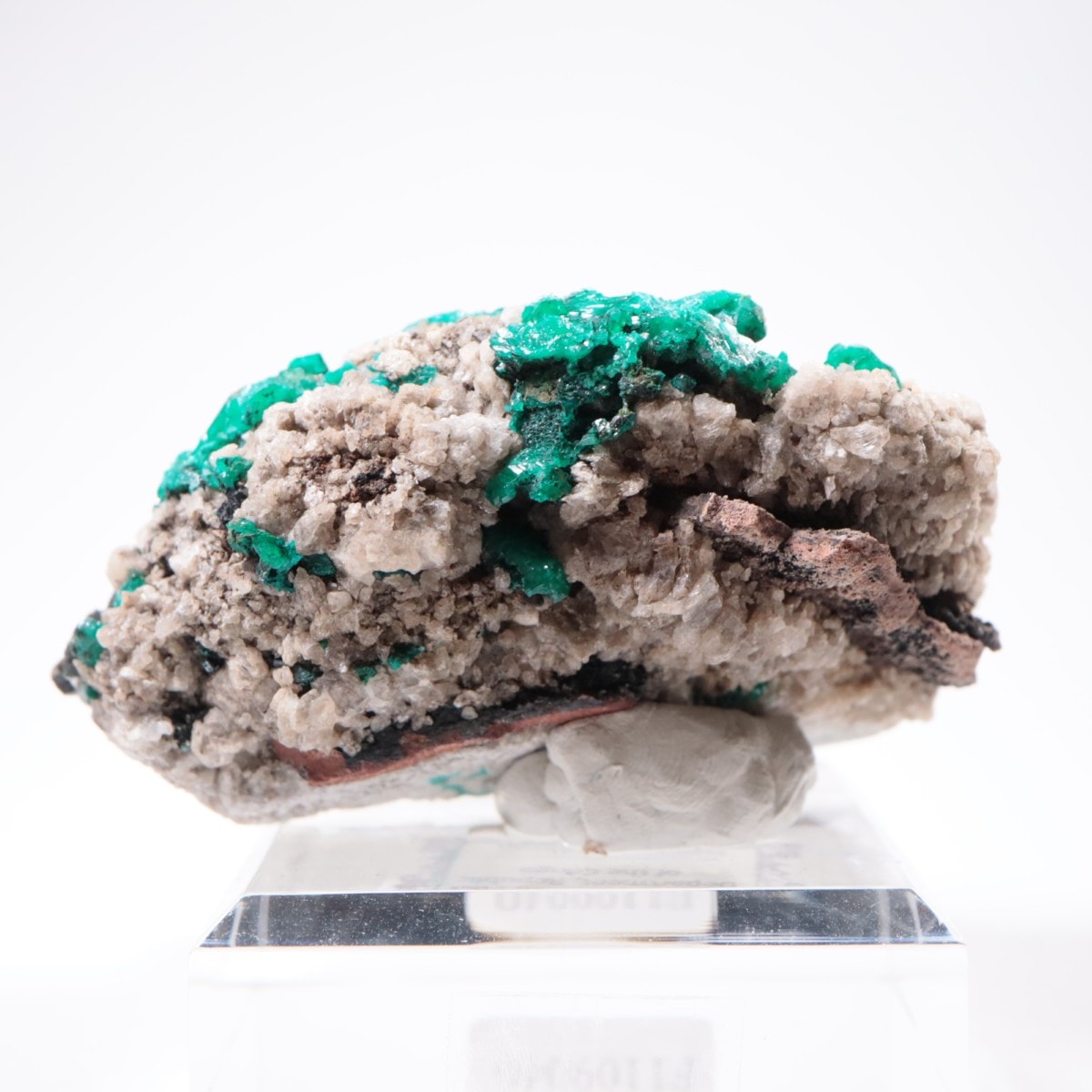 ���󥴻� �������ץơ���