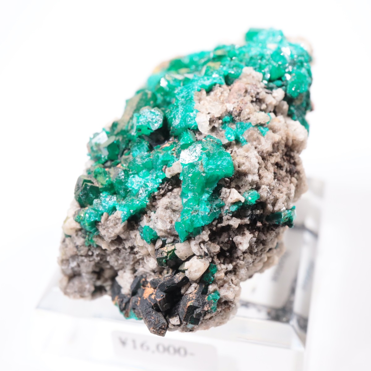 ���󥴻� �������ץơ���