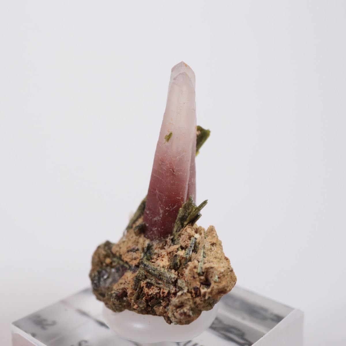 �ڥ롼�� ��åɥ�������