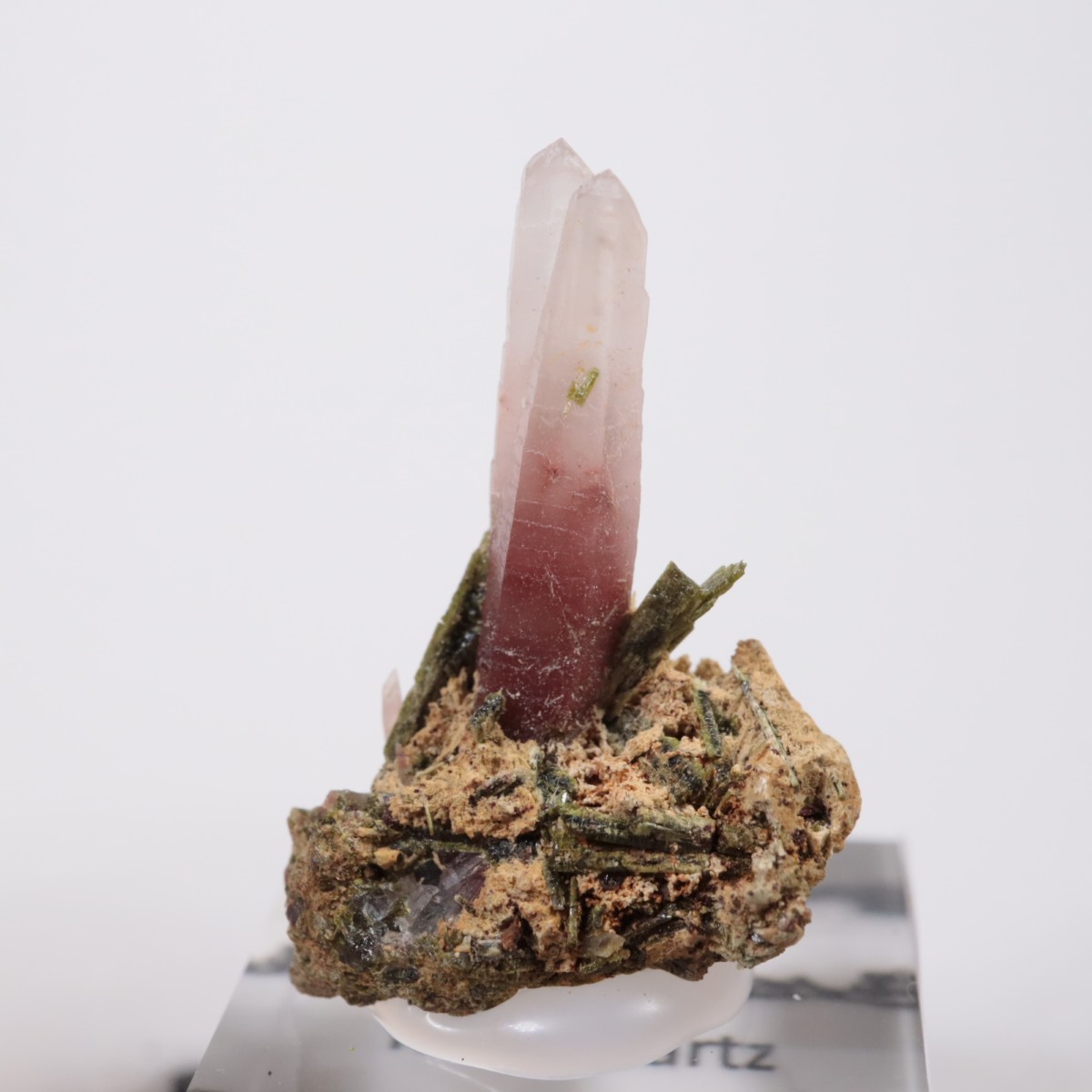 �ڥ롼�� ��åɥ�������