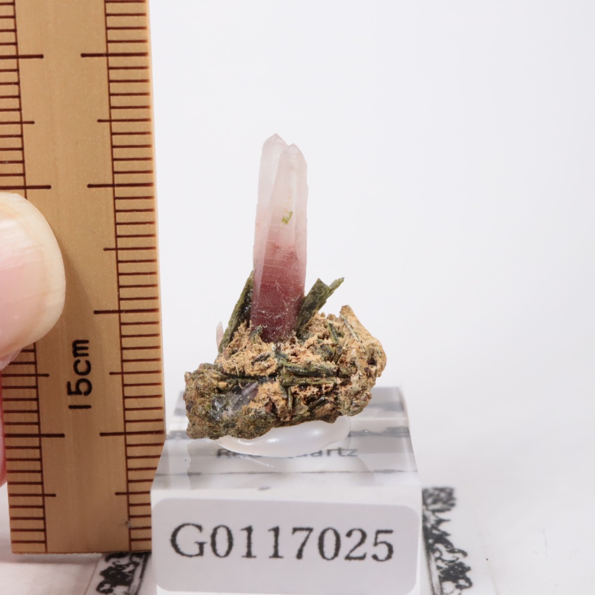 �ڥ롼�� ��åɥ�������