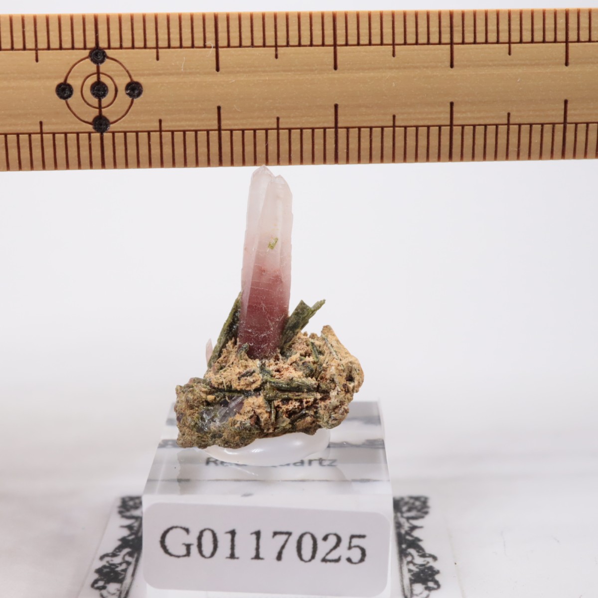 �ڥ롼�� ��åɥ�������