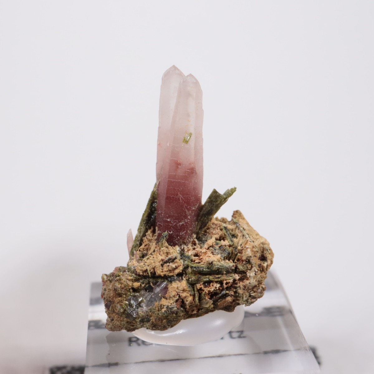 �ڥ롼�� ��åɥ�������