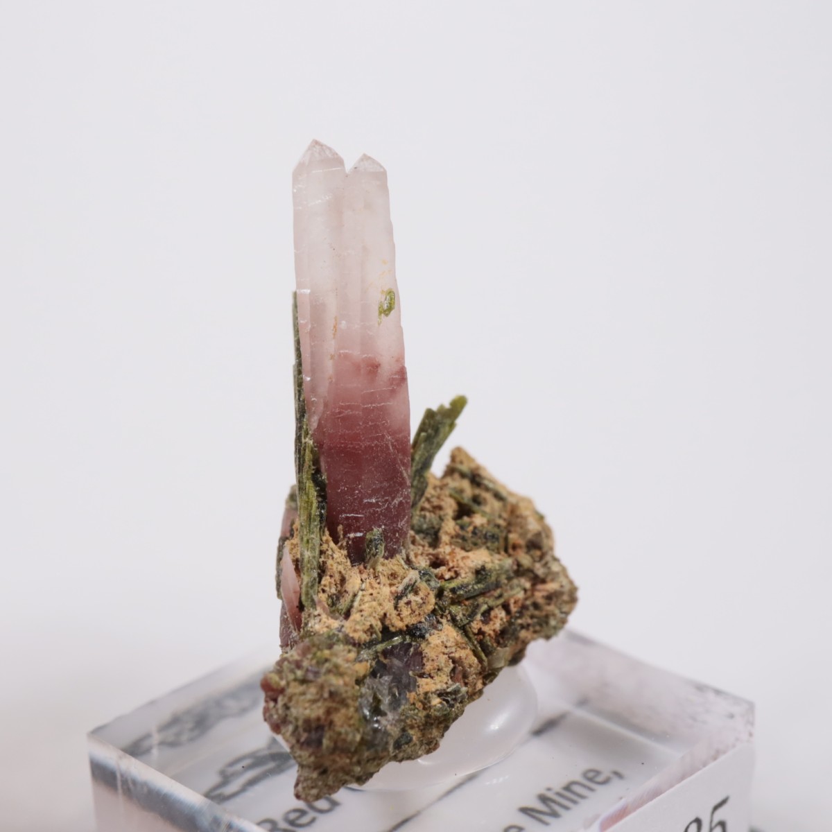 �ڥ롼�� ��åɥ�������