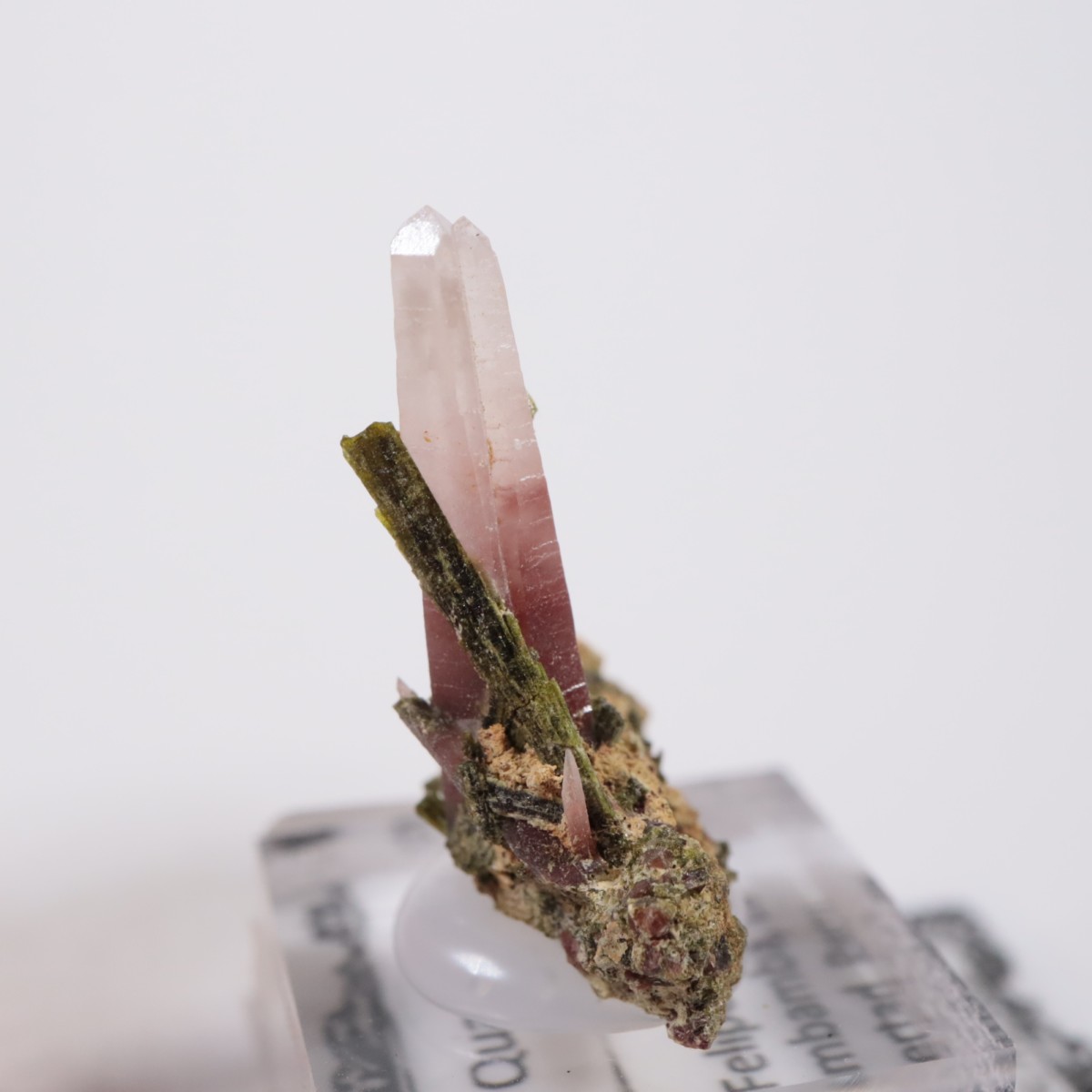 �ڥ롼�� ��åɥ�������