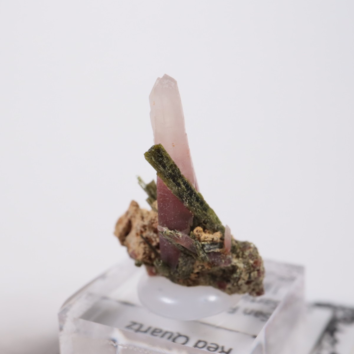 �ڥ롼�� ��åɥ�������