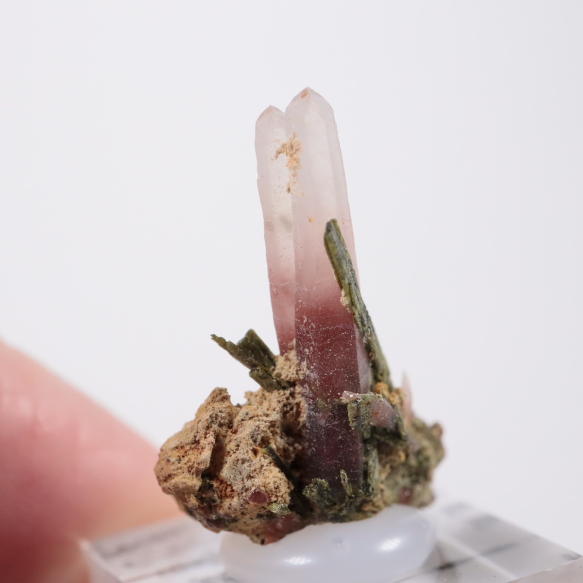 �ڥ롼�� ��åɥ�������