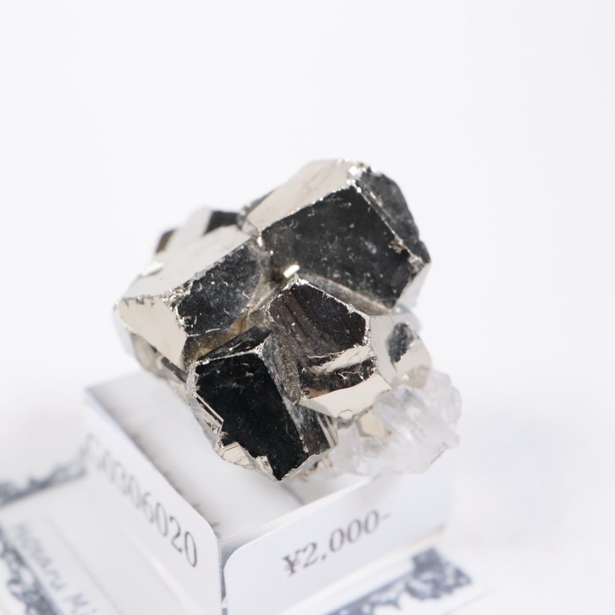 ����ɥͥ����� �ѥ��饤��