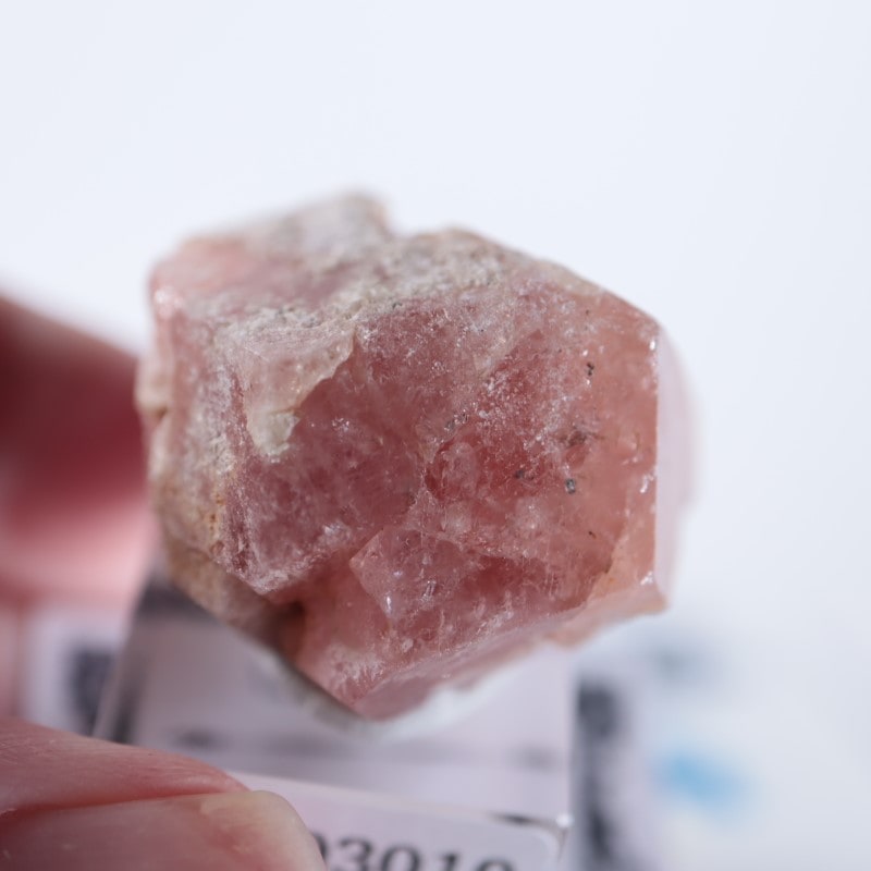 【鉱物標本】グロッシュラー ガーネット 原石 アメリカ産 アメリカ カリフォルニア州 Bishop産 グロッシュラーガーネット