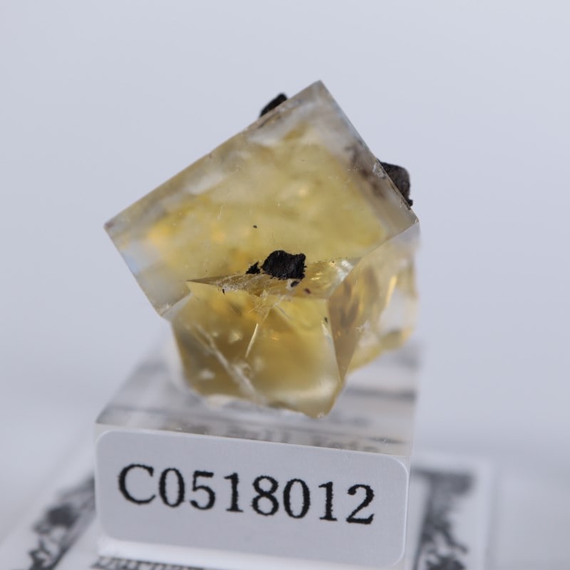 The Bull Vein産　フローライト　蛍石　原石　鉱物　鉱物標本 The Bull Vein フローライト（蛍石） | 鉱物標本,ハ行,フローライト/蛍