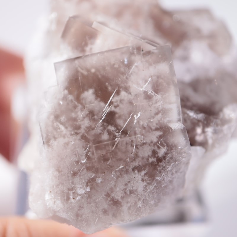 Sherry Twins Pocket フローライト | 鉱物標本,ハ行,フローライト/蛍石