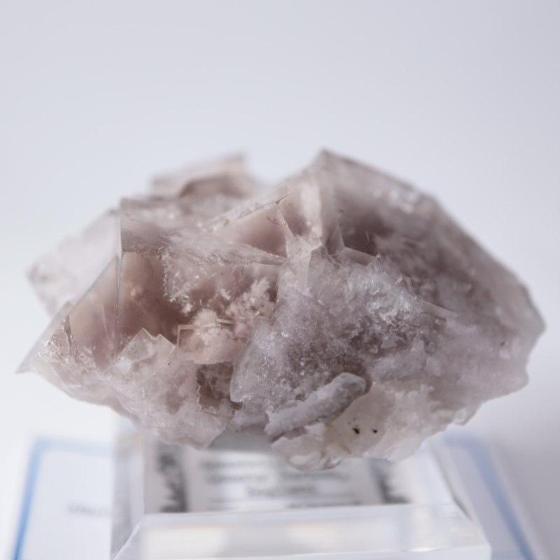 Sherry Twins Pocket フローライト | 鉱物標本,ハ行,フローライト/蛍石