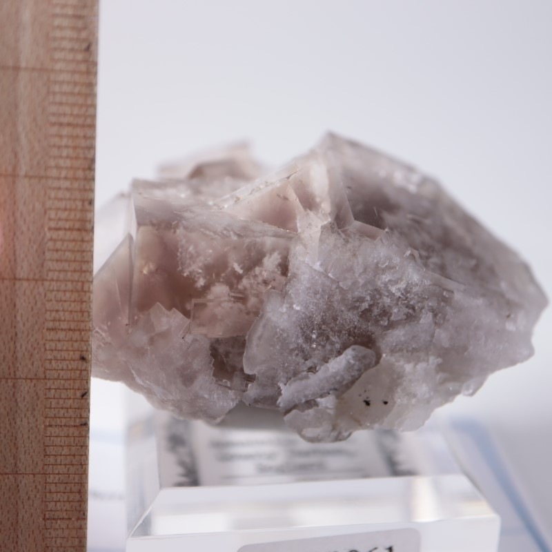 Sherry Twins Pocket フローライト | 鉱物標本,ハ行,フローライト/蛍石