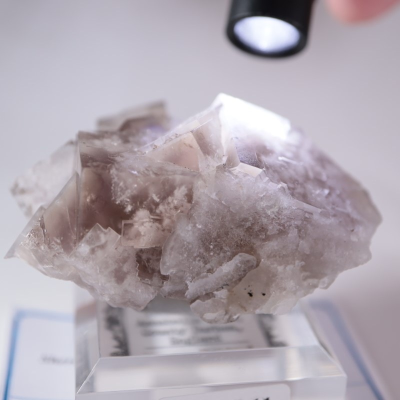 Sherry Twins Pocket フローライト | 鉱物標本,ハ行,フローライト/蛍石