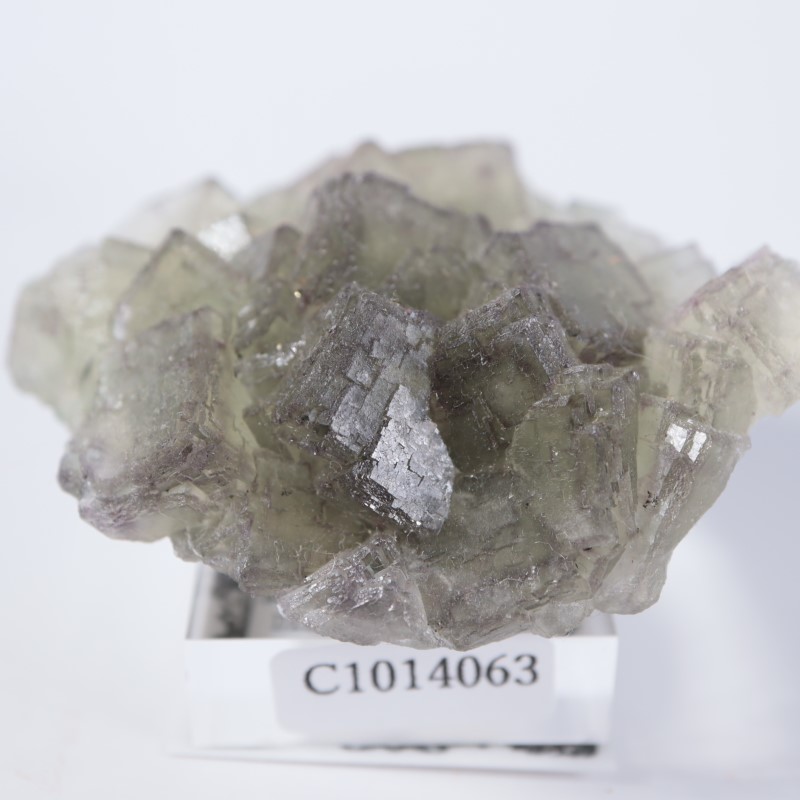 ドイツ産 フローライト | 鉱物標本,ハ行,フローライト/蛍石