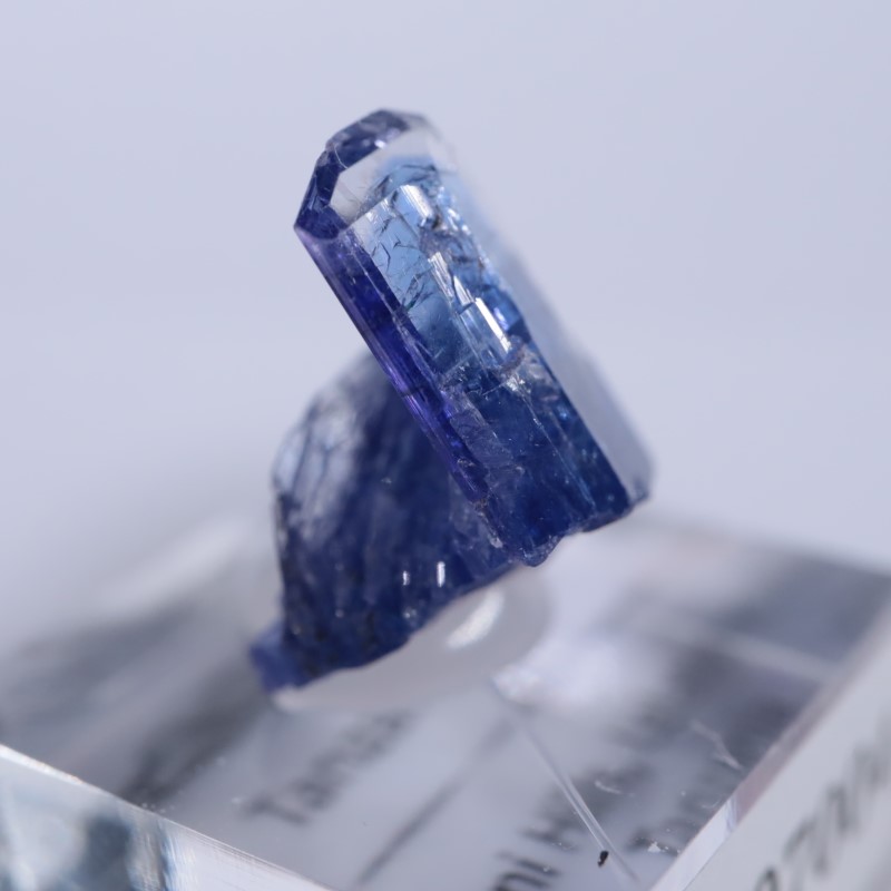 メレラニヒルズ産 タンザナイト | 鉱物標本,タ行,タンザナイト