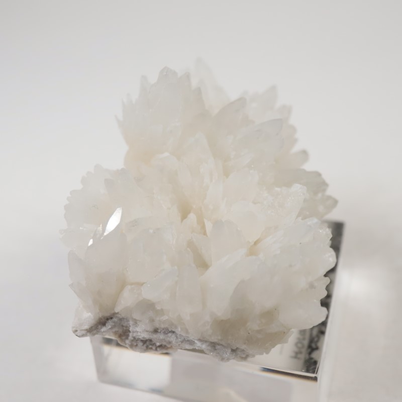 �����ꥢ�������쥹�ƥ���ʥ��쥹�����ȡ�