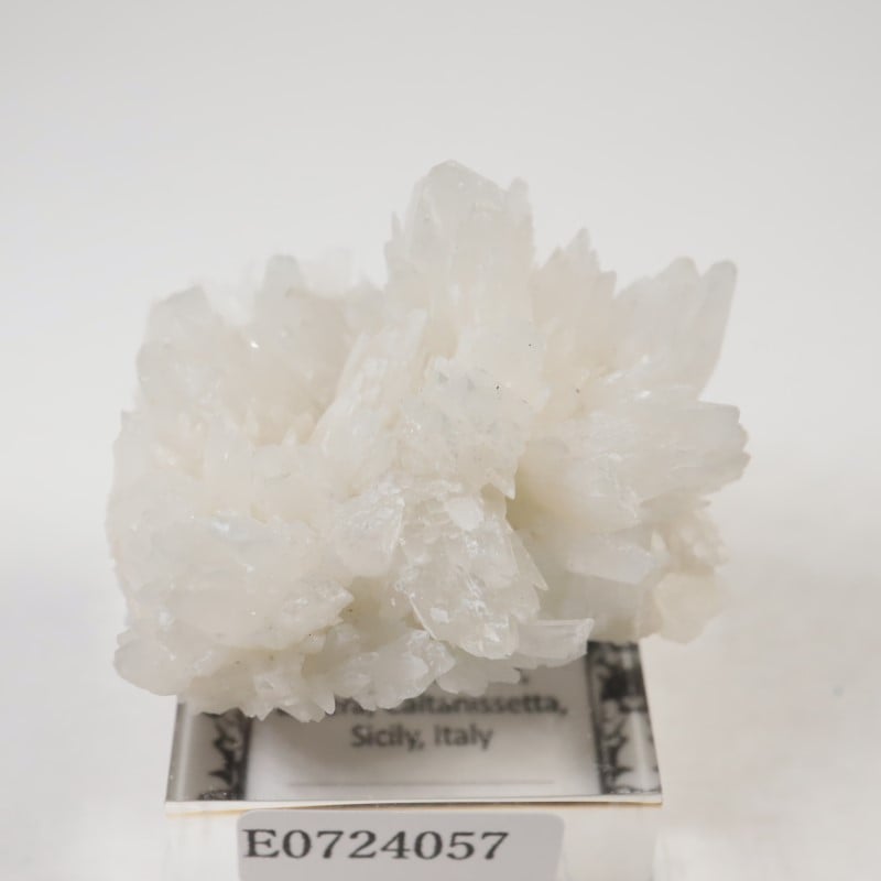 �����ꥢ�������쥹�ƥ���ʥ��쥹�����ȡ�