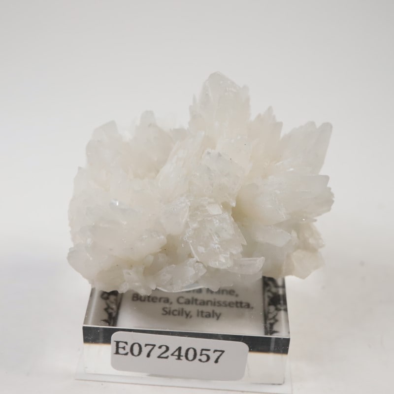 �����ꥢ�������쥹�ƥ���ʥ��쥹�����ȡ�